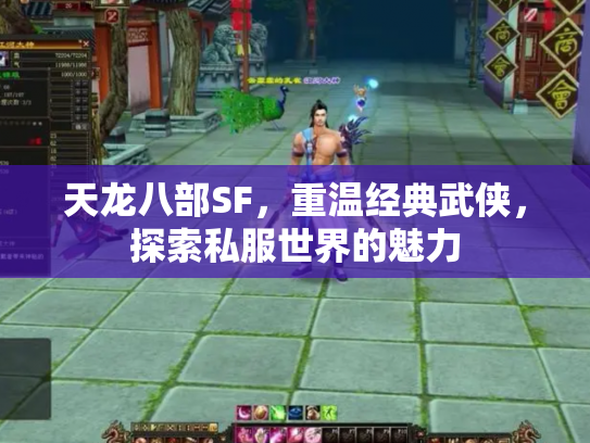 天龙八部SF，重温经典武侠，探索私服世界的魅力