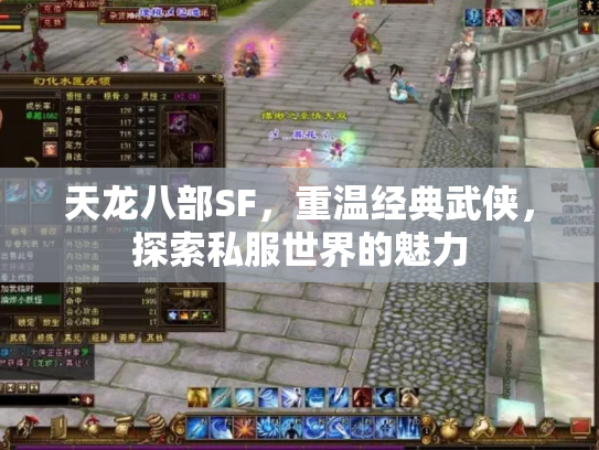 天龙八部SF，重温经典武侠，探索私服世界的魅力