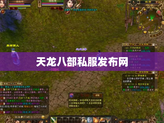 天龙八部私服发布网