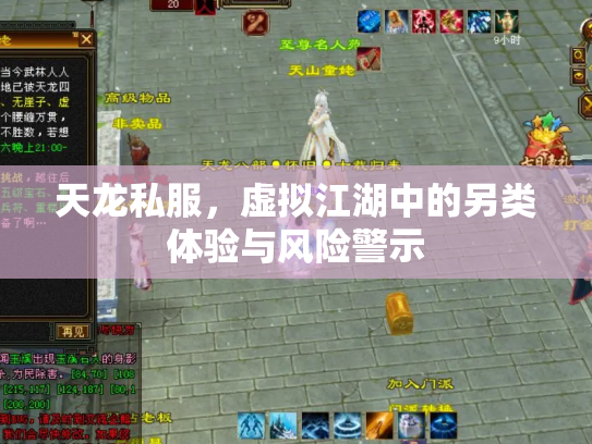 天龙私服，虚拟江湖中的另类体验与风险警示