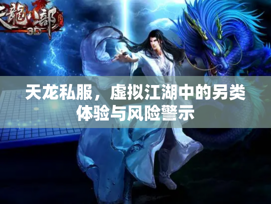 天龙私服，虚拟江湖中的另类体验与风险警示
