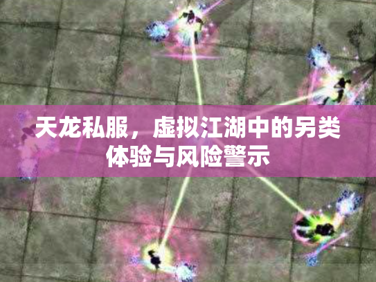 天龙私服，虚拟江湖中的另类体验与风险警示