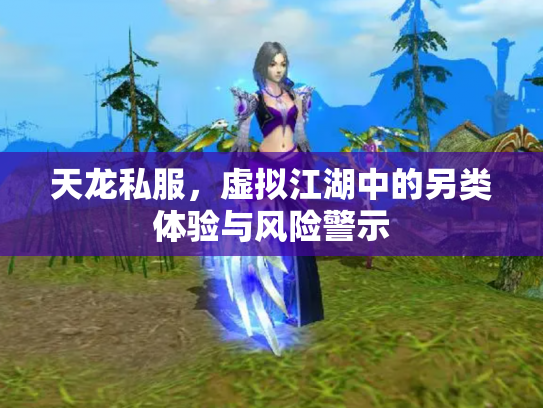 天龙私服，虚拟江湖中的另类体验与风险警示