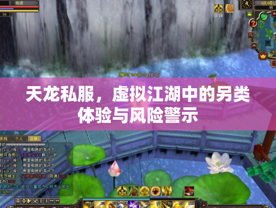 天龙私服，虚拟江湖中的另类体验与风险警示