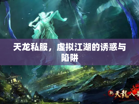 天龙私服，虚拟江湖的诱惑与陷阱