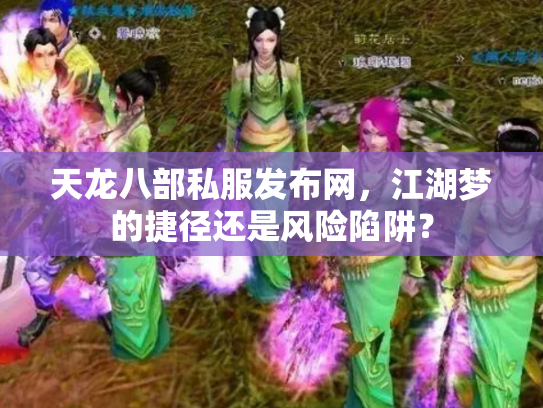 天龙八部私服发布网，江湖梦的捷径还是风险陷阱？