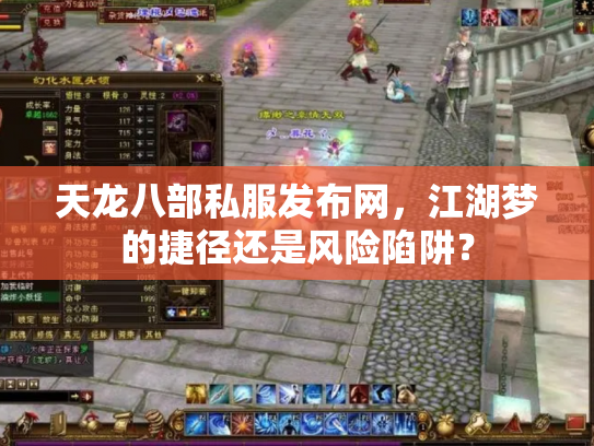 天龙八部私服发布网，江湖梦的捷径还是风险陷阱？