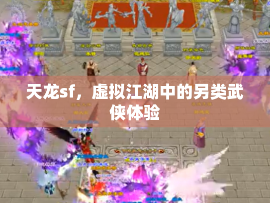 天龙sf，虚拟江湖中的另类武侠体验