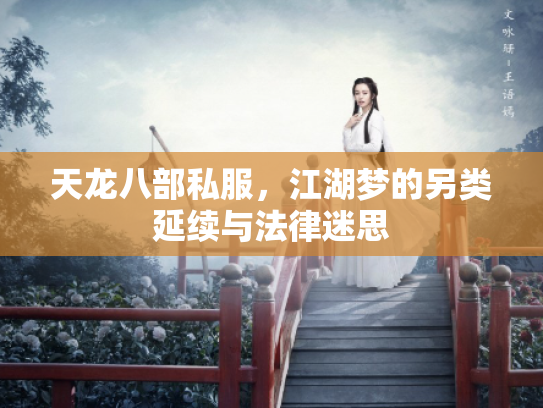 天龙八部私服，江湖梦的另类延续与法律迷思
