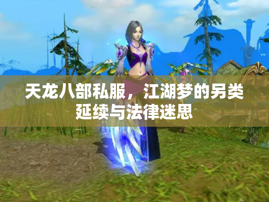 天龙八部私服，江湖梦的另类延续与法律迷思