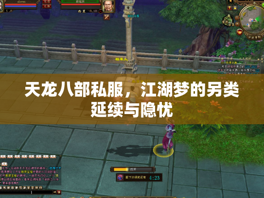 天龙八部私服，江湖梦的另类延续与隐忧