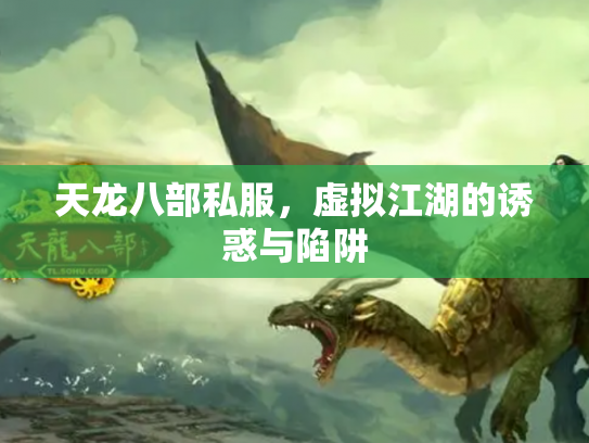 天龙八部私服，虚拟江湖的诱惑与陷阱