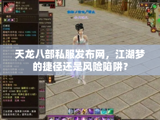 天龙八部私服发布网，江湖梦的捷径还是风险陷阱？