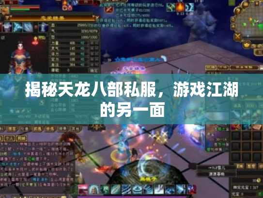 揭秘天龙八部私服，游戏江湖的另一面