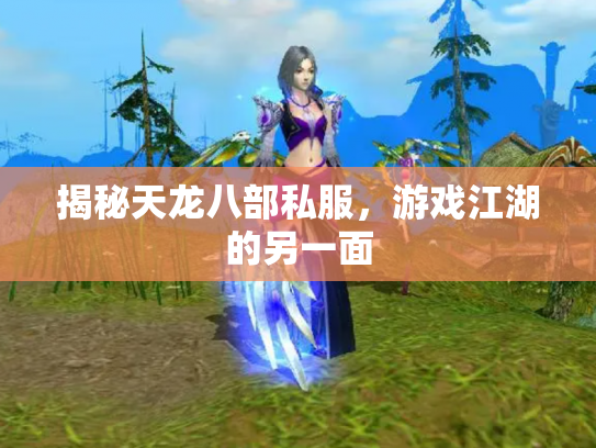 揭秘天龙八部私服，游戏江湖的另一面