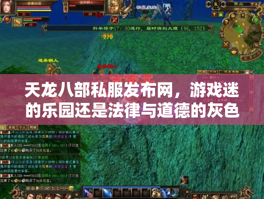 天龙八部私服发布网，游戏迷的乐园还是法律与道德的灰色地带？