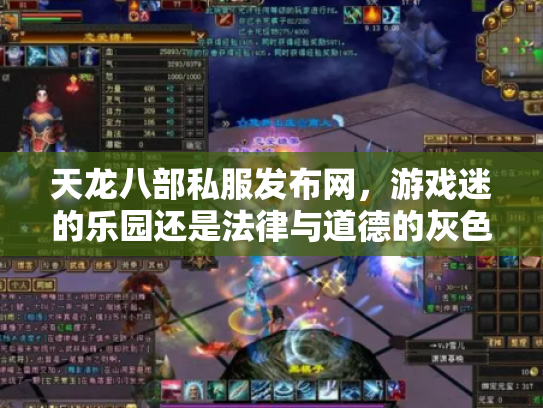 天龙八部私服发布网，游戏迷的乐园还是法律与道德的灰色地带？