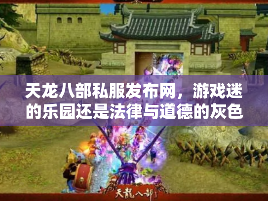天龙八部私服发布网，游戏迷的乐园还是法律与道德的灰色地带？