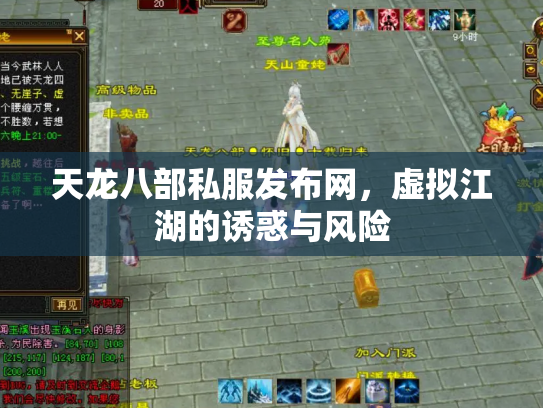 天龙八部私服发布网，虚拟江湖的诱惑与风险