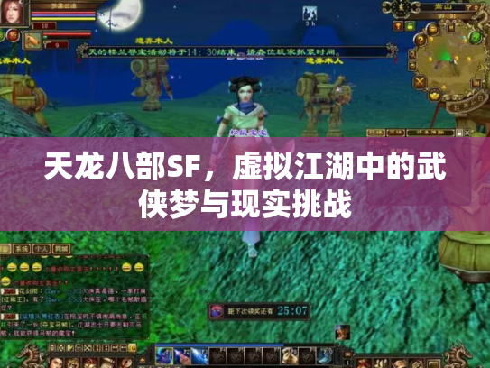 天龙八部SF，虚拟江湖中的武侠梦与现实挑战