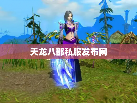 天龙八部私服发布网