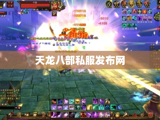 天龙八部私服发布网