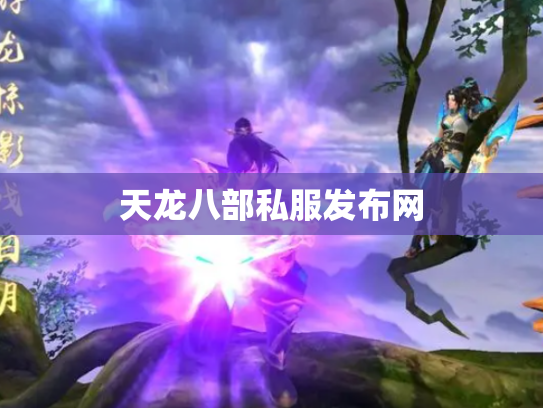 天龙八部私服发布网