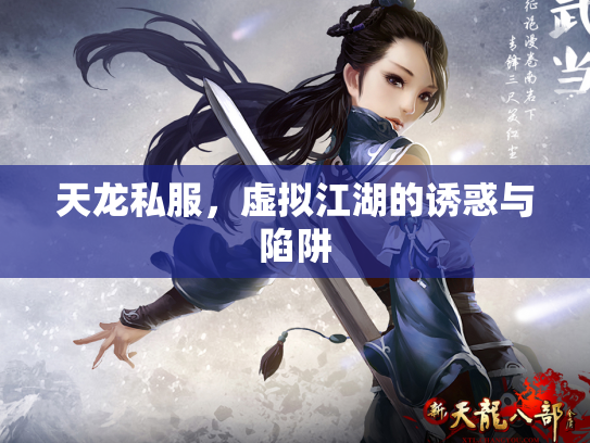 天龙私服，虚拟江湖的诱惑与陷阱