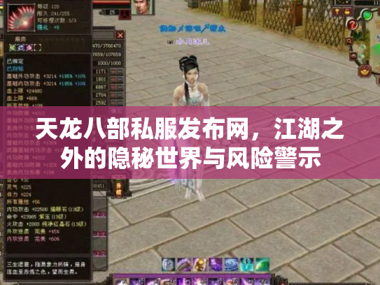 天龙八部私服发布网，江湖之外的隐秘世界与风险警示