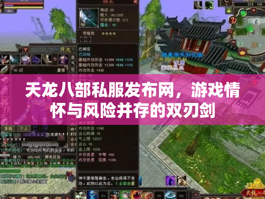 天龙八部私服发布网，游戏情怀与风险并存的双刃剑