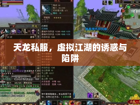 天龙私服，虚拟江湖的诱惑与陷阱