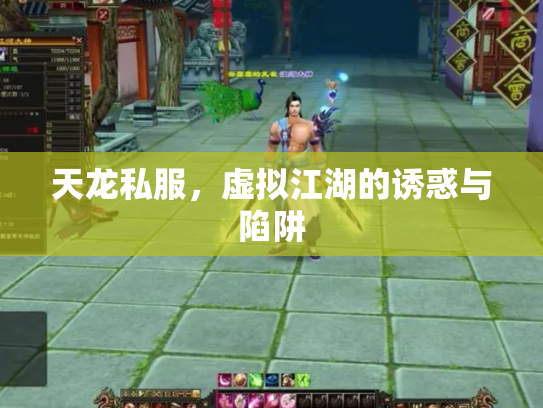 天龙私服，虚拟江湖的诱惑与陷阱