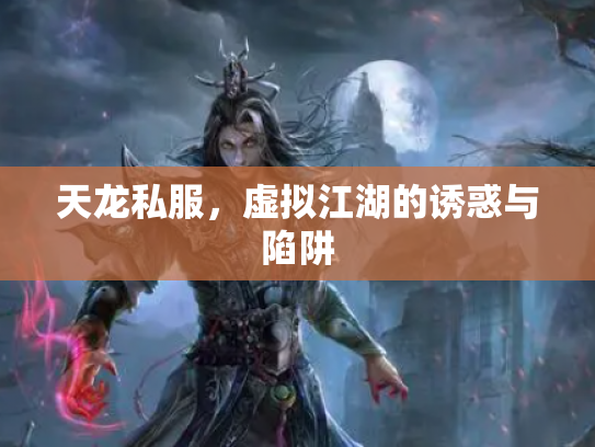 天龙私服，虚拟江湖的诱惑与陷阱