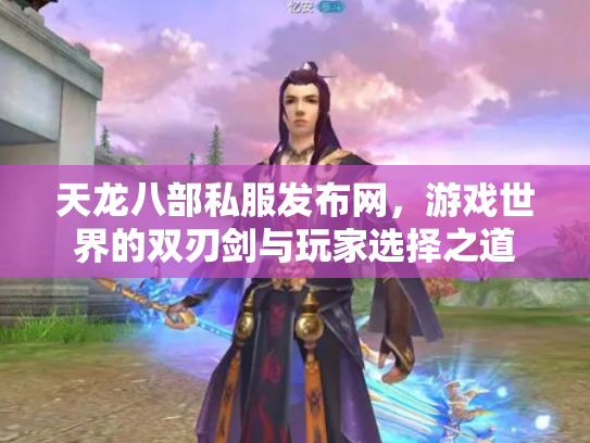 天龙八部私服发布网，游戏世界的双刃剑与玩家选择之道