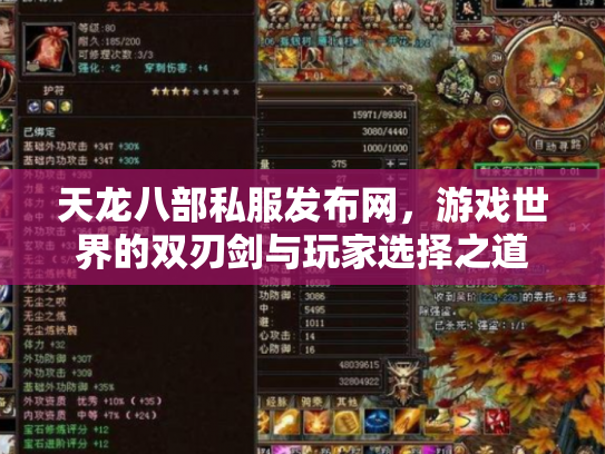 天龙八部私服发布网，游戏世界的双刃剑与玩家选择之道