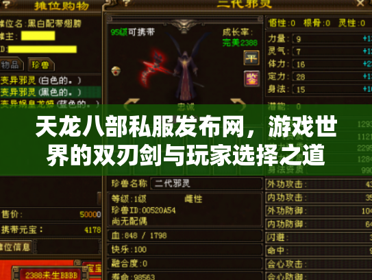 天龙八部私服发布网，游戏世界的双刃剑与玩家选择之道