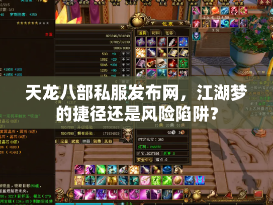 天龙八部私服发布网，江湖梦的捷径还是风险陷阱？