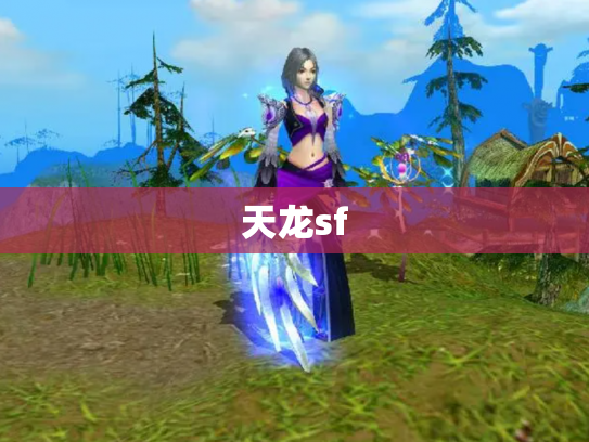 天龙sf