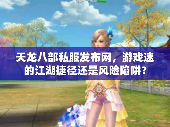 天龙八部私服发布网，游戏迷的江湖捷径还是风险陷阱？