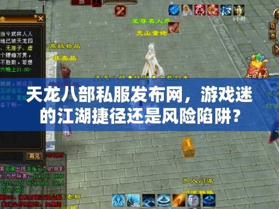 天龙八部私服发布网，游戏迷的江湖捷径还是风险陷阱？