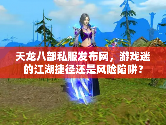 天龙八部私服发布网，游戏迷的江湖捷径还是风险陷阱？