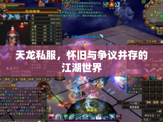 天龙私服，怀旧与争议并存的江湖世界