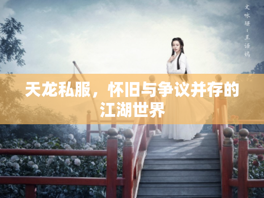 天龙私服，怀旧与争议并存的江湖世界