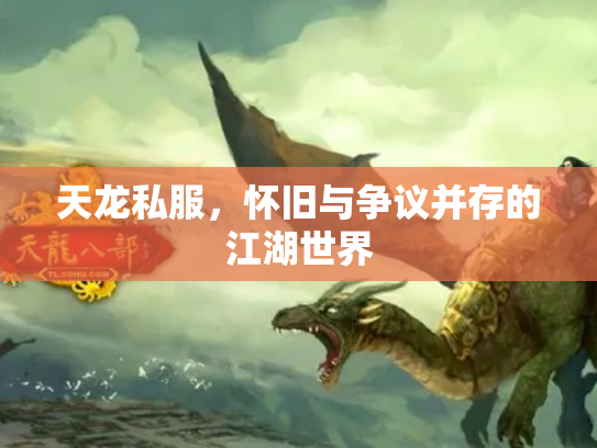 天龙私服，怀旧与争议并存的江湖世界