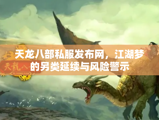 天龙八部私服发布网，江湖梦的另类延续与风险警示