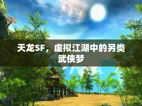 天龙SF，虚拟江湖中的另类武侠梦