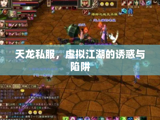 天龙私服，虚拟江湖的诱惑与陷阱