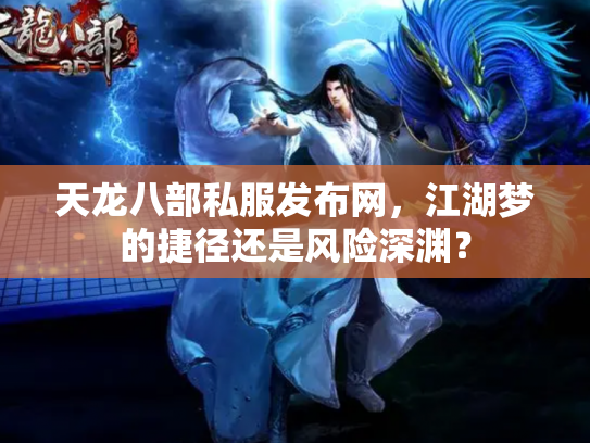 天龙八部私服发布网，江湖梦的捷径还是风险深渊？