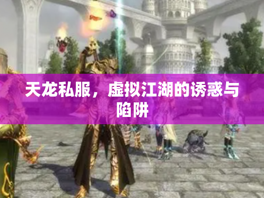 天龙私服，虚拟江湖的诱惑与陷阱