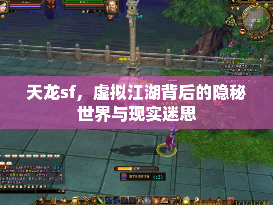 天龙sf，虚拟江湖背后的隐秘世界与现实迷思
